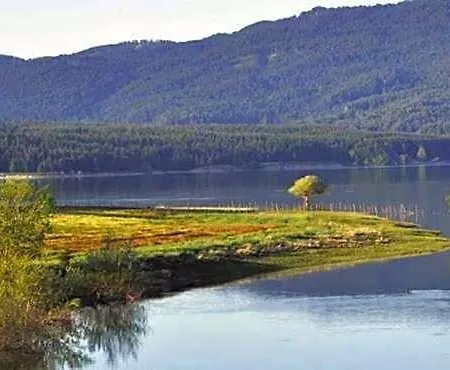 Laghi Only